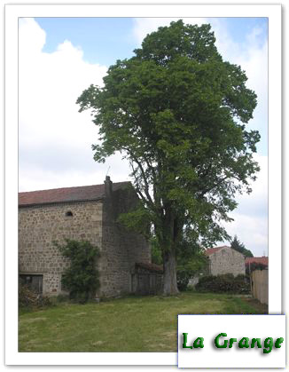 barn with lime